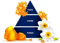 felce azzura narciso mini